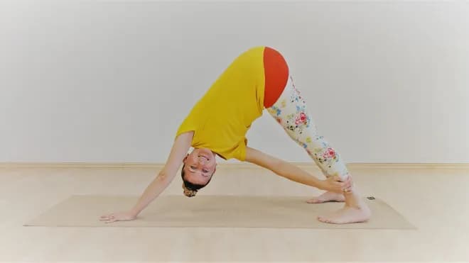 Studio - Yoga (Di)