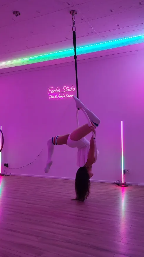 Aerial Hoop Beginner