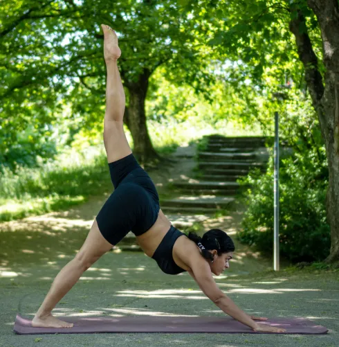 Vinyasa Yoga/ English